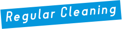 Regular Cleaning